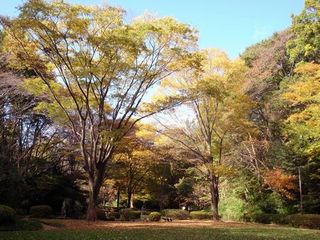 img3185403dzik2zj.jpg