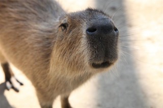 20131121_001.jpg